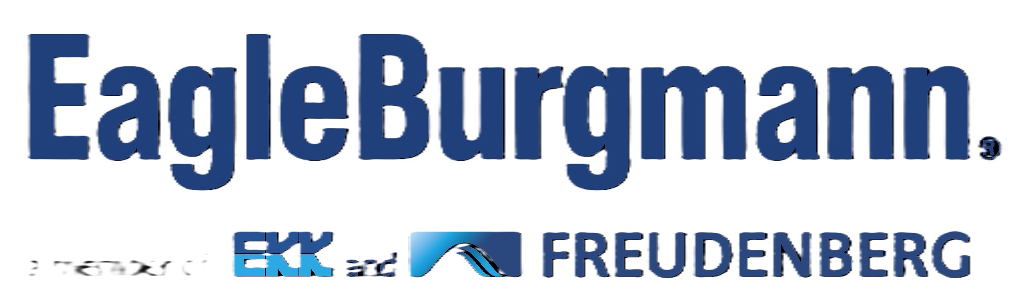 EagleBurgmann Germany GmbH & Co.KG